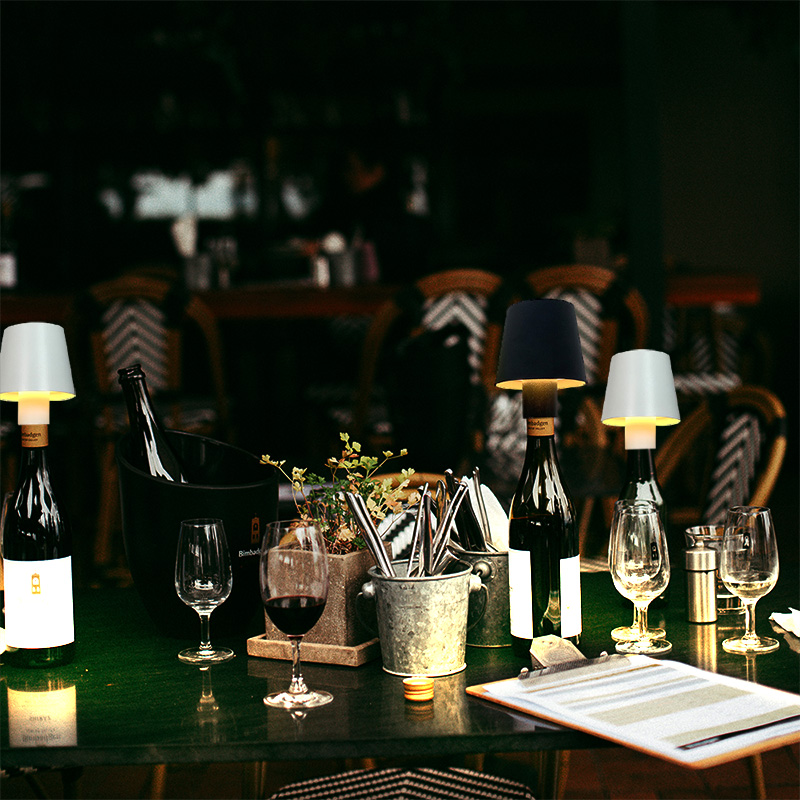 Декоративные диммируемые перез – обзор и цена Wine & Beer Packages
